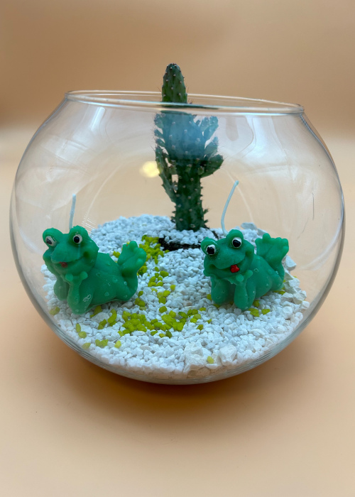 Kerze 2 Frösche mit Glas und Kaktee