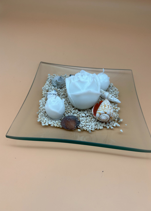 Kerze weiße Rose auf Glasteller u. Muscheln
